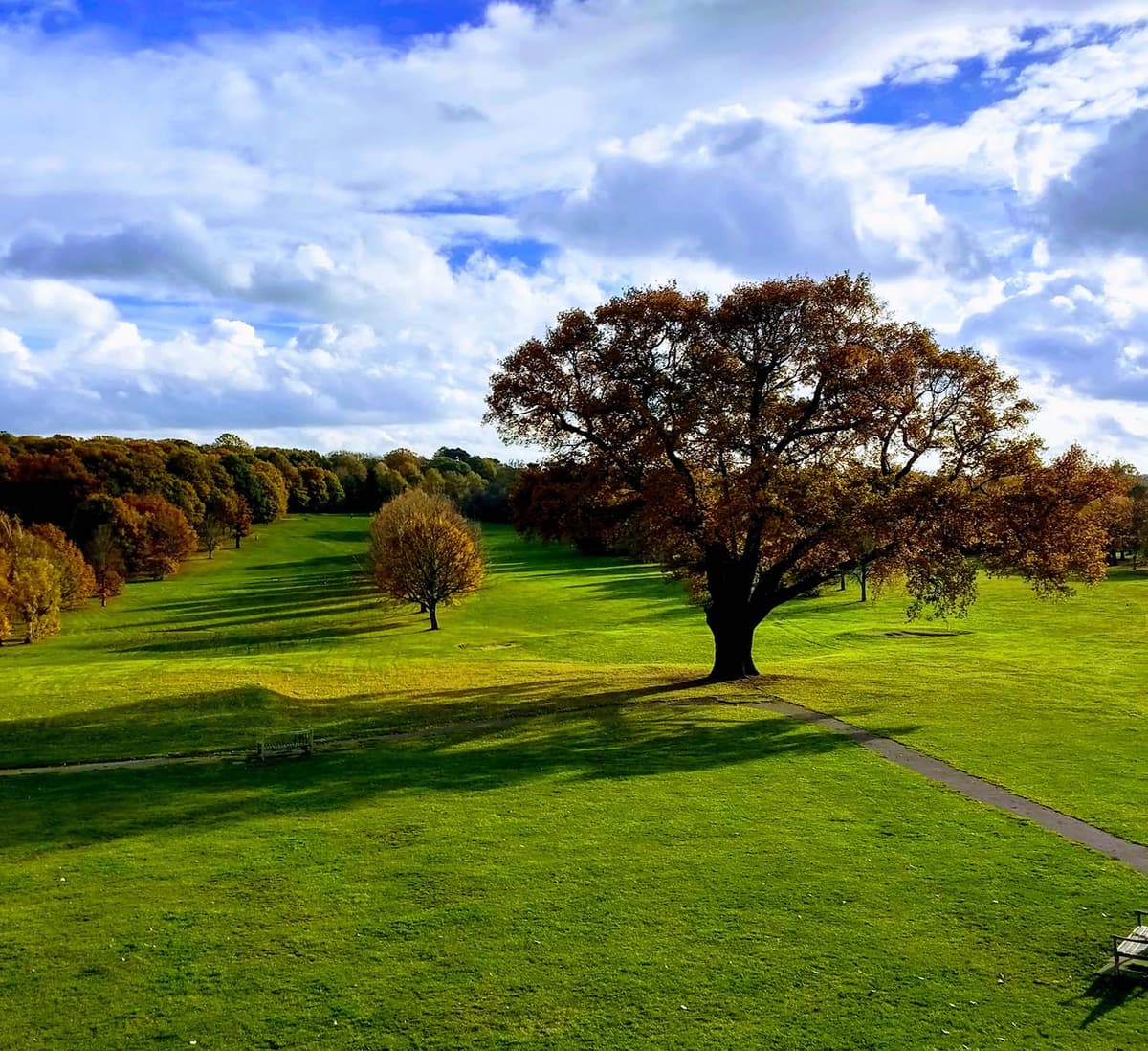 The history of Francis Chappell & Sons Funeral Directors
